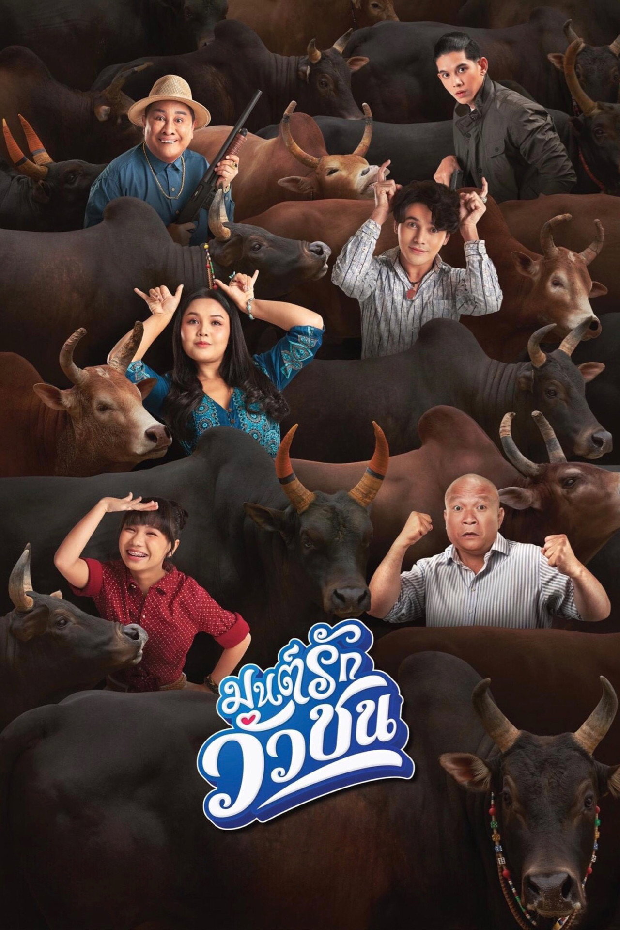 มนต์รักวัวชน filmaffisch