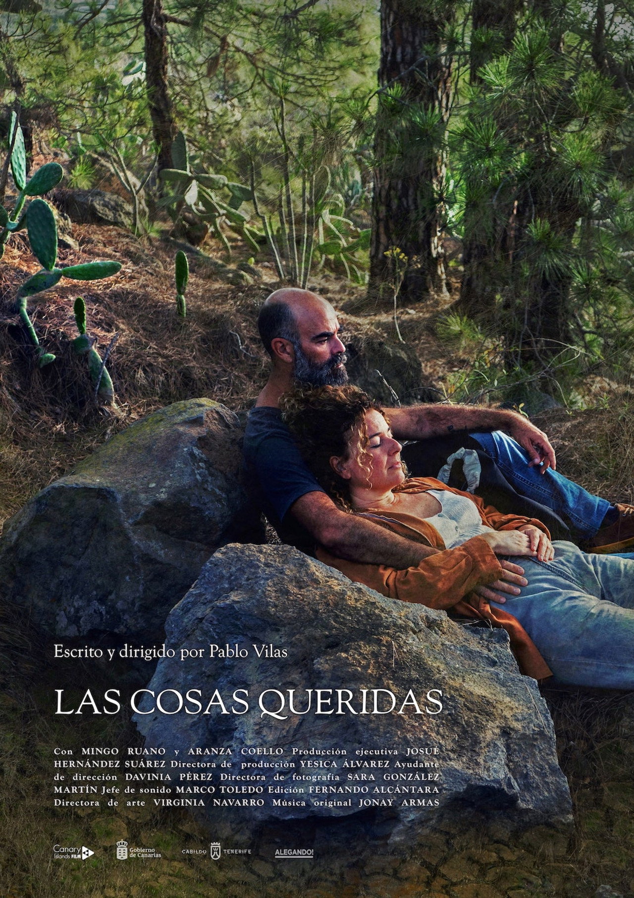 Las cosas queridas filmaffisch