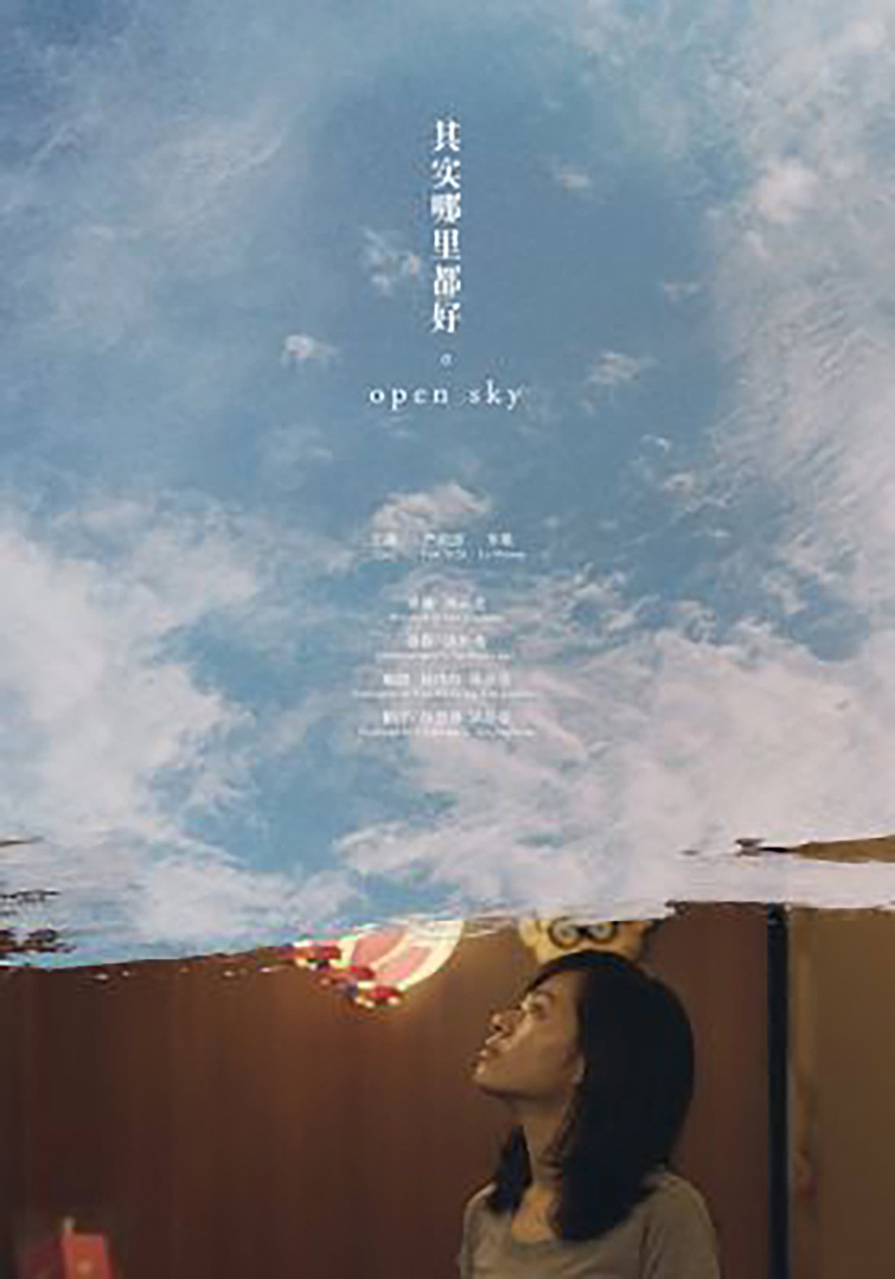 Open Sky poster