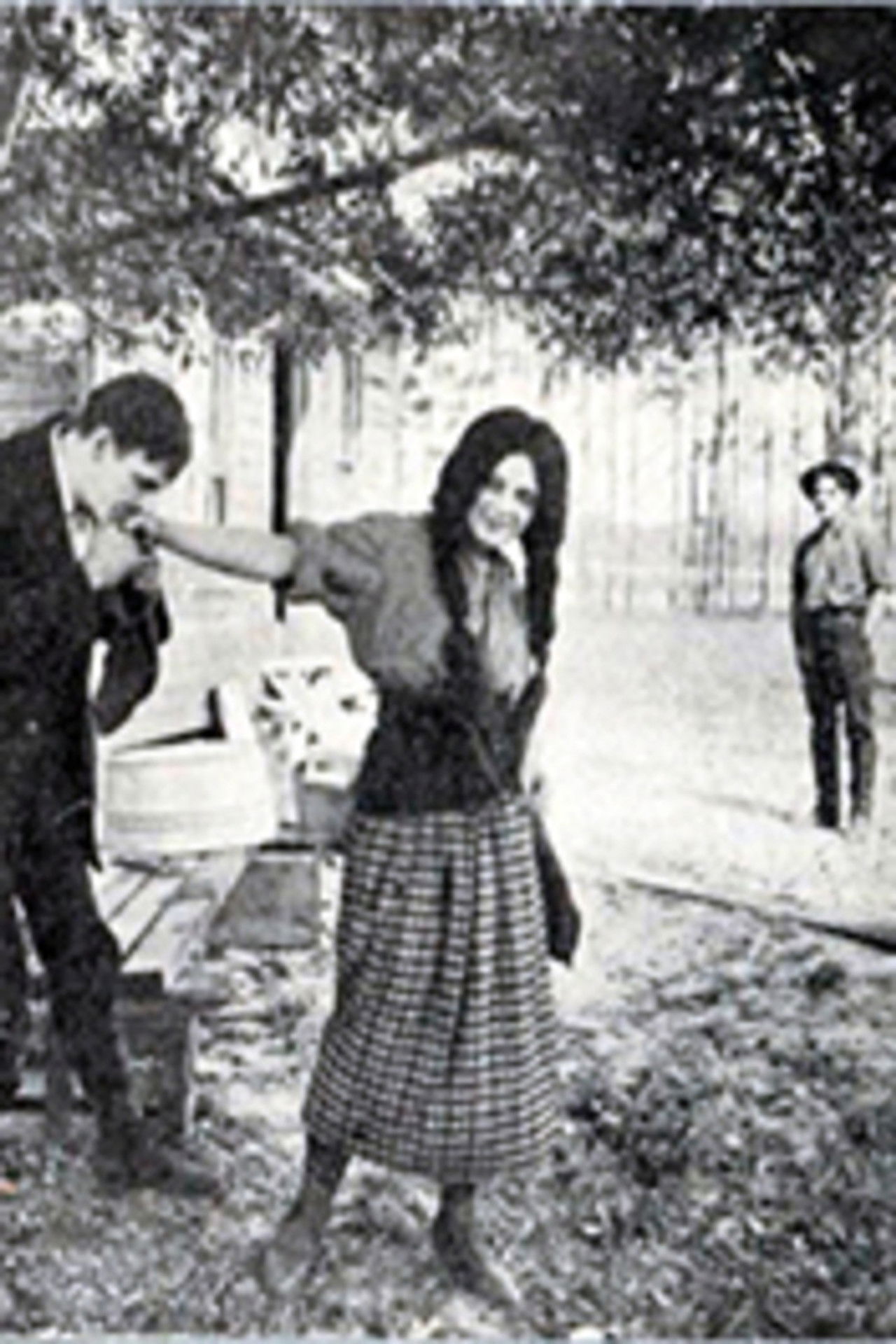 When the Dead Return Backdrop