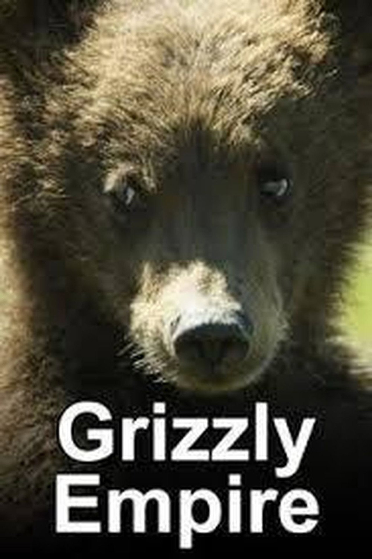 Grizzly-birodalom – plakát 3
