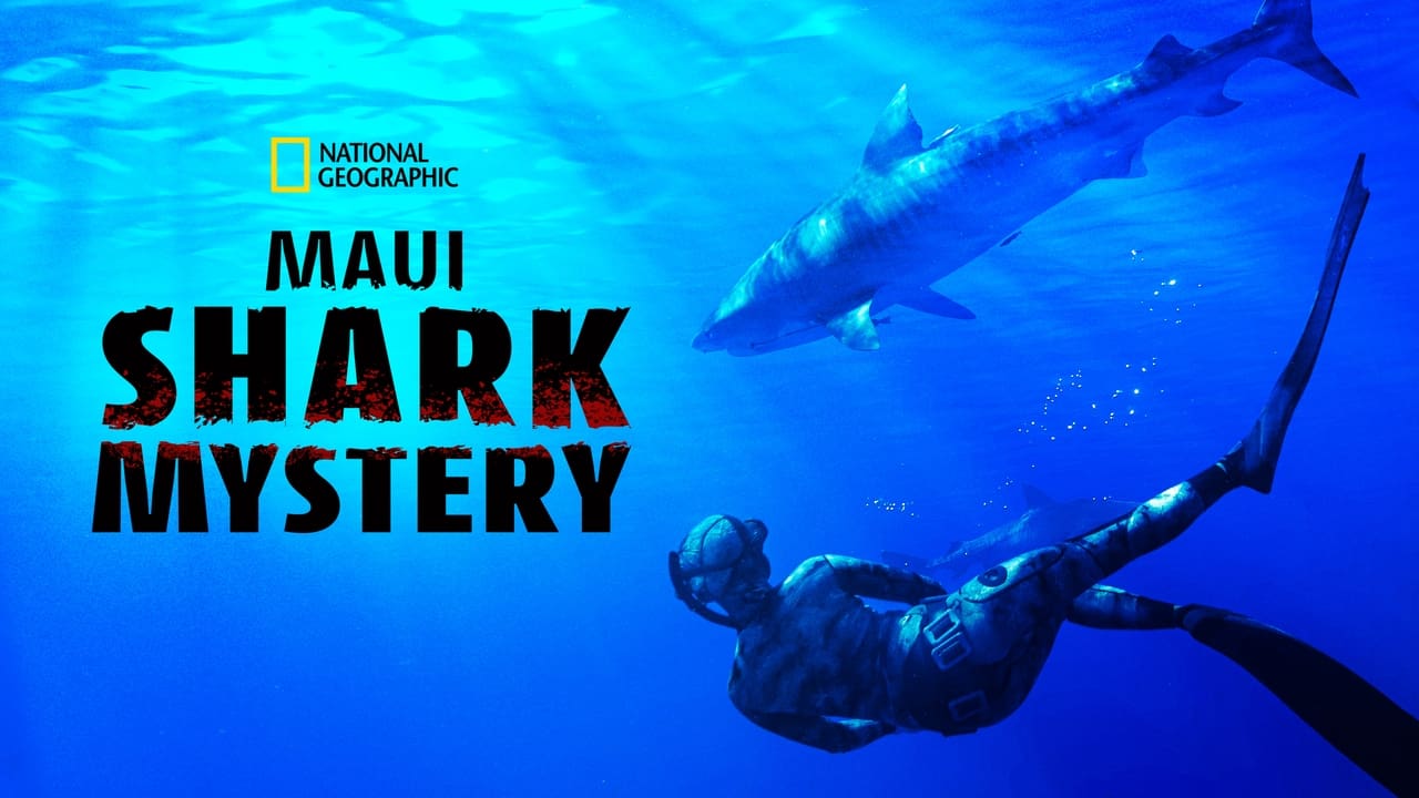 Maui Shark Mystery background