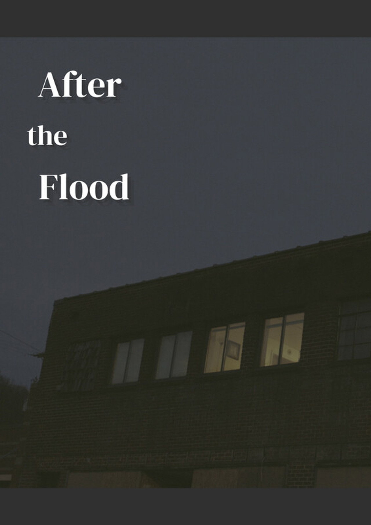 After the Flood (2023)