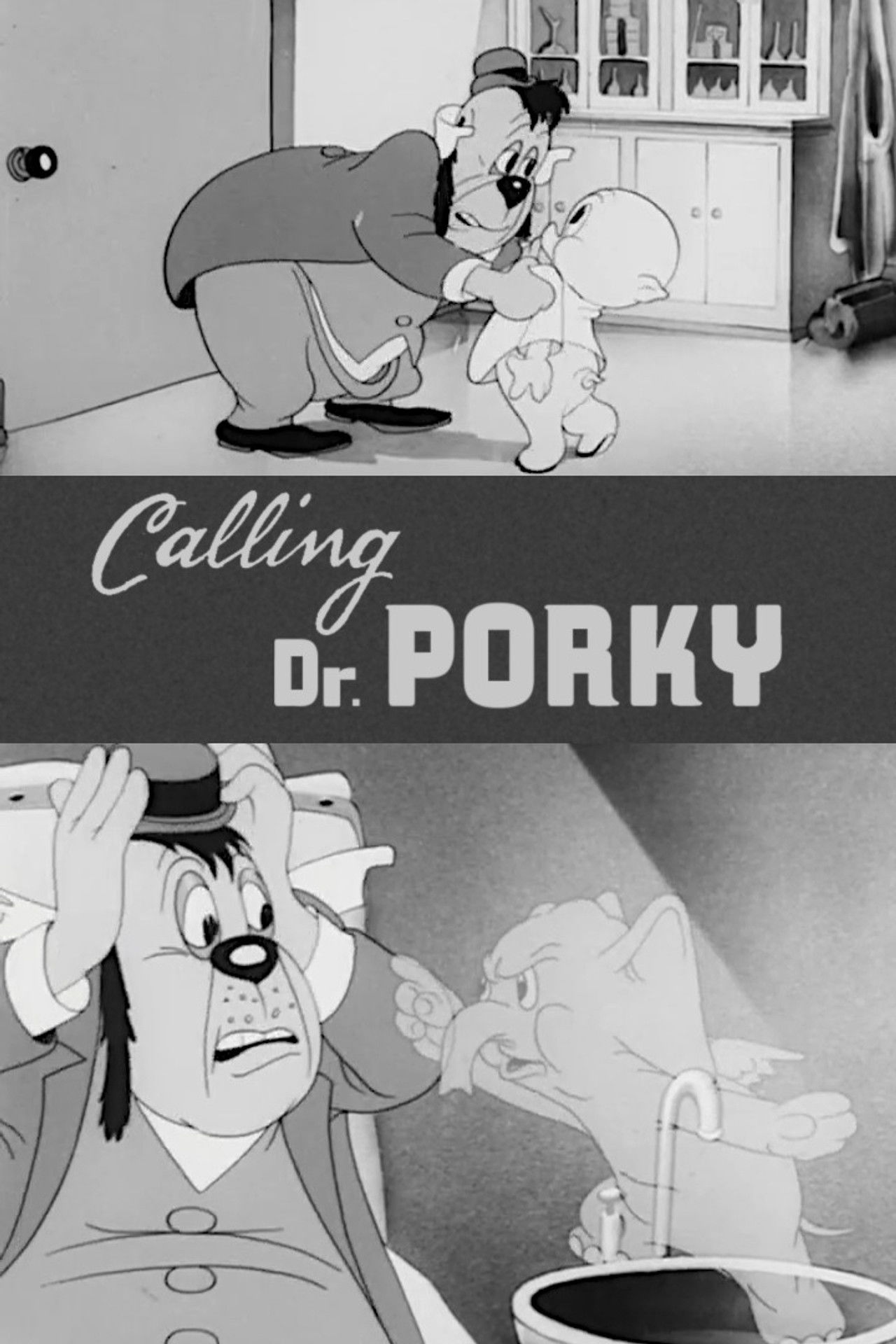 Calling Dr. Porky Backdrop