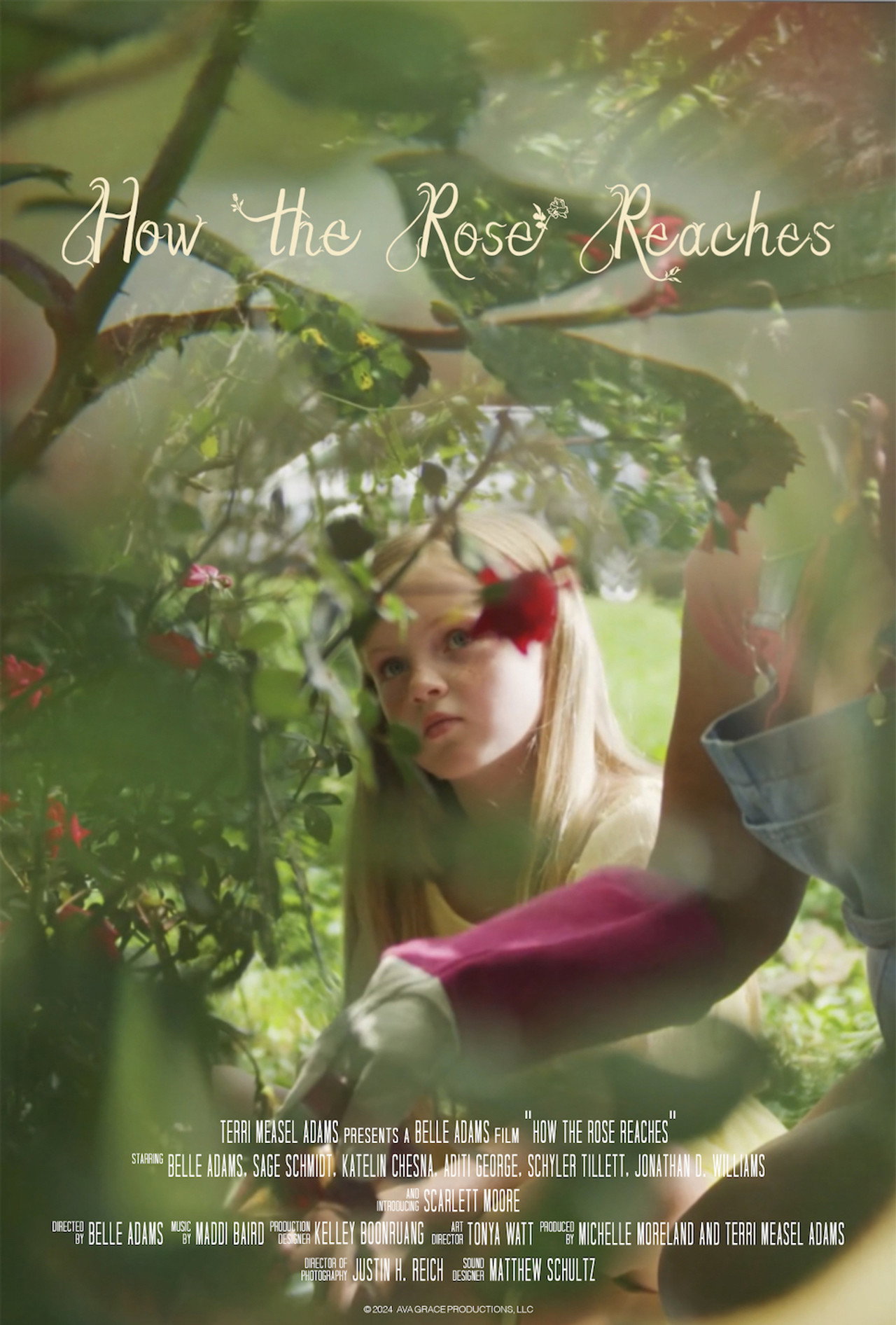 How the Rose Reaches