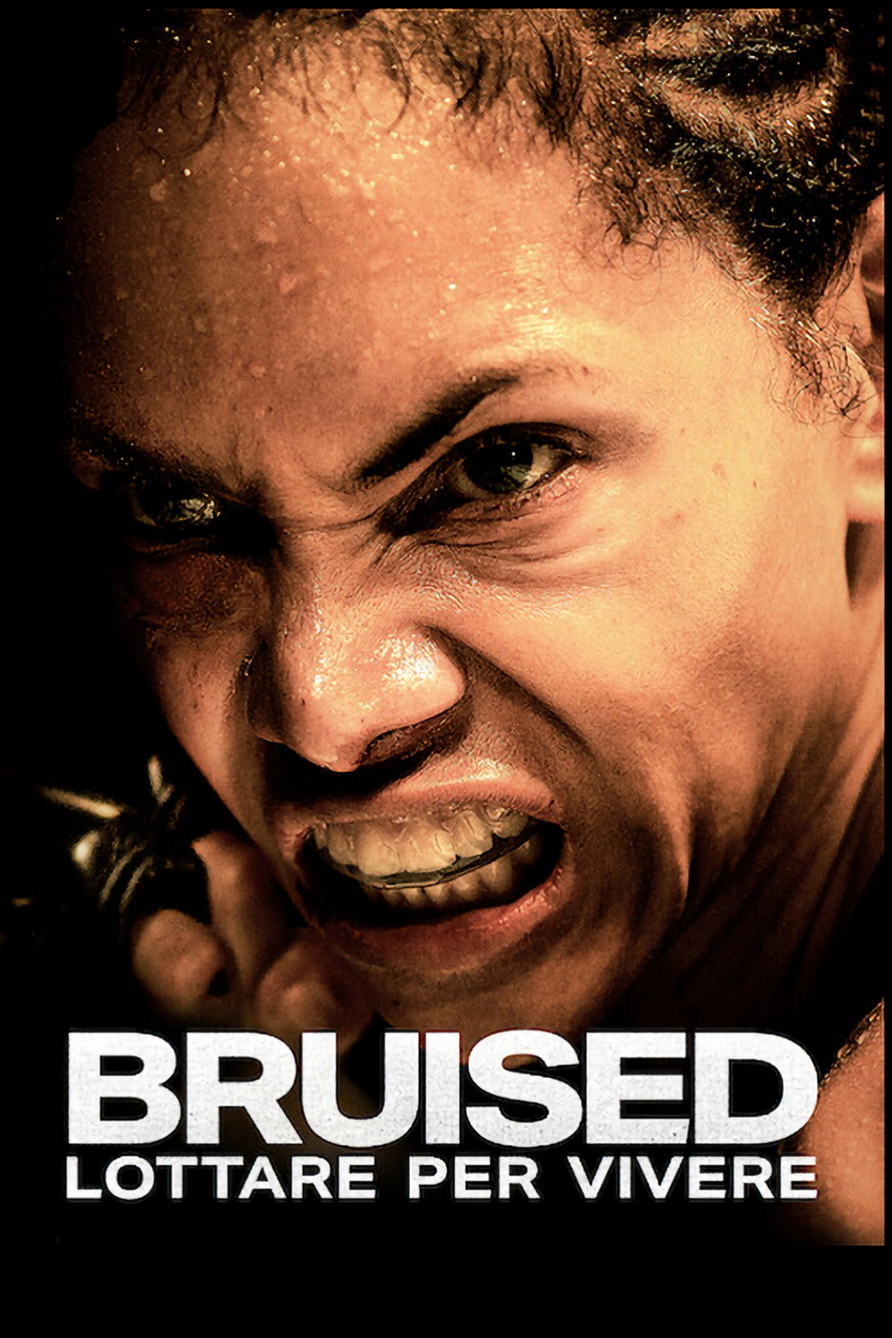 posters 19