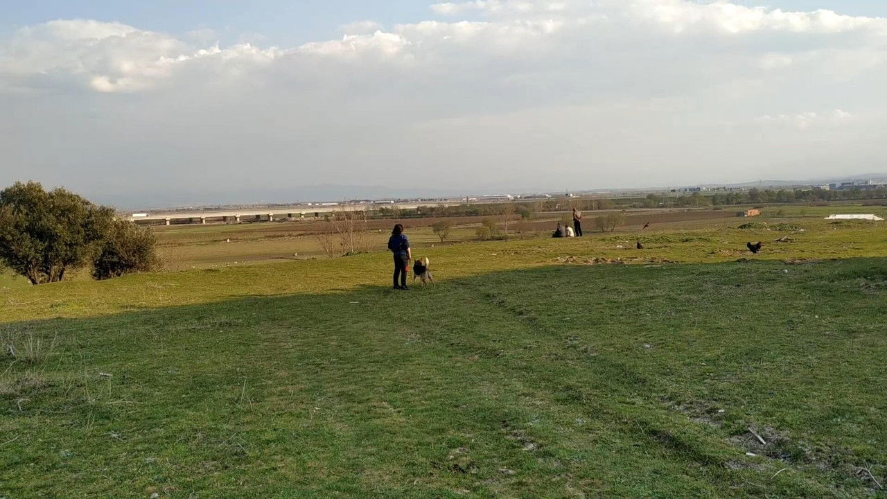 Günler backdrop image