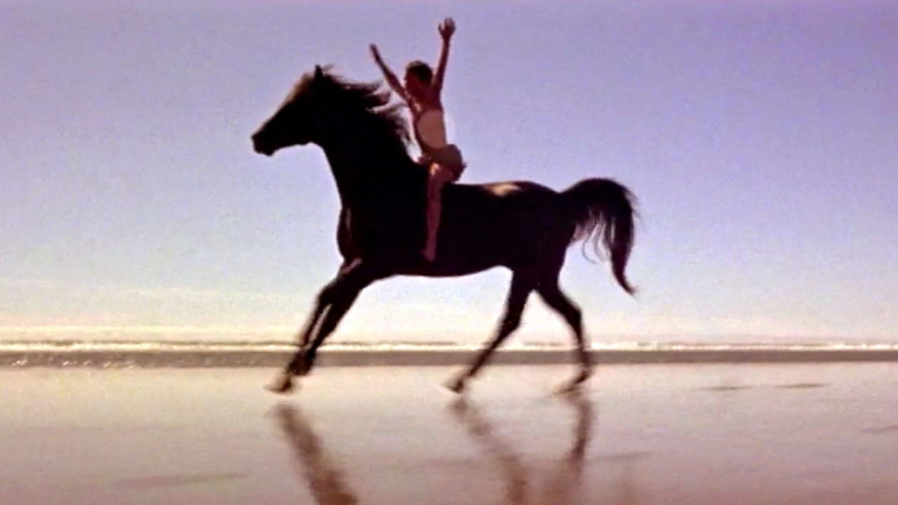 The Black Stallion backdrop