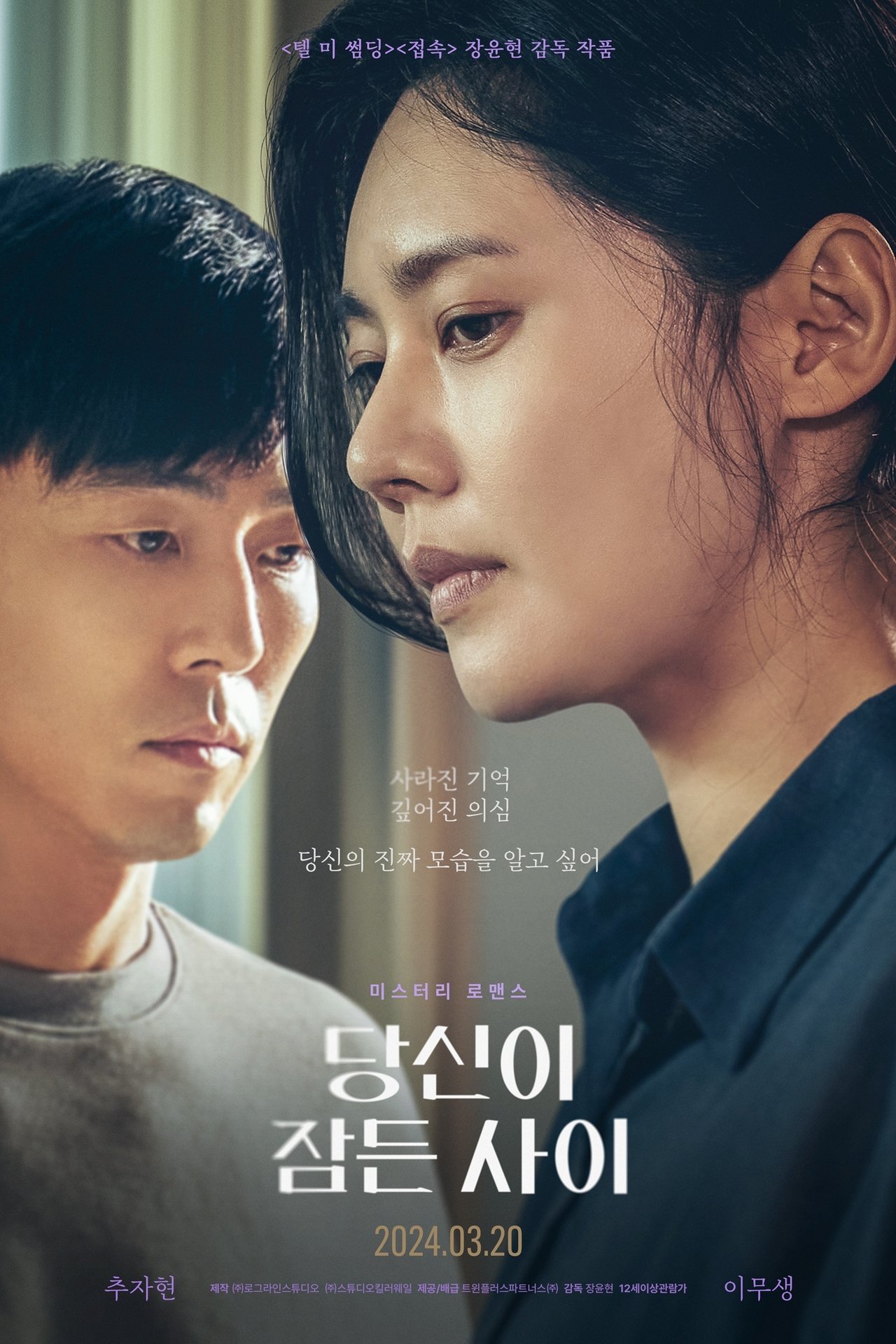 당신이 잠든 사이 poster