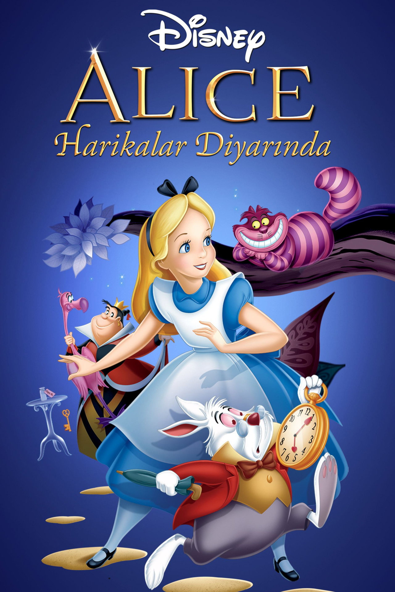 Alice Harikalar Diyarında Poster