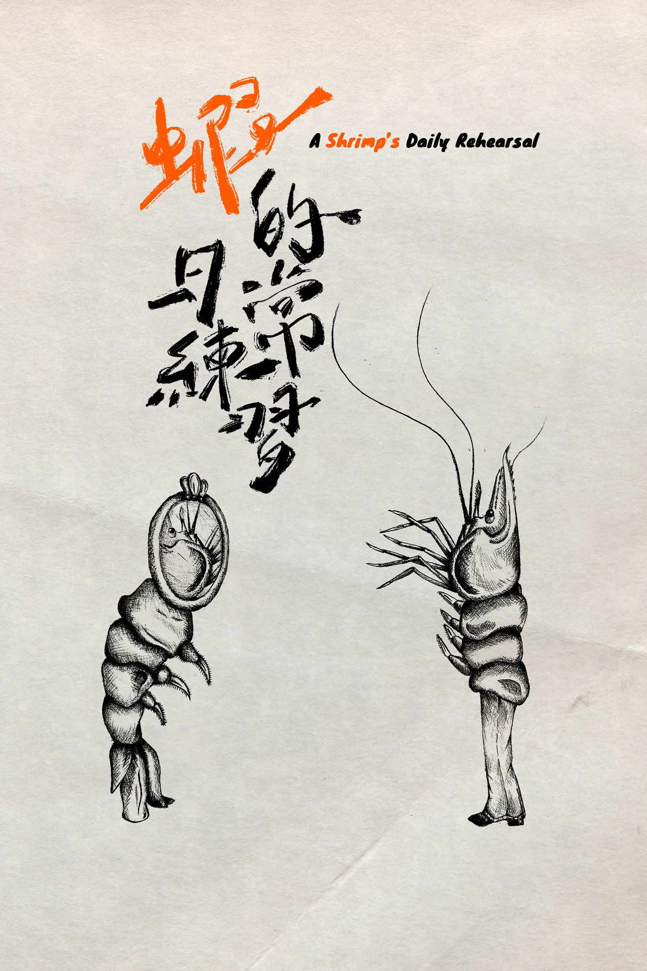 A Shrimp's Daily Rehearsal Backdrop