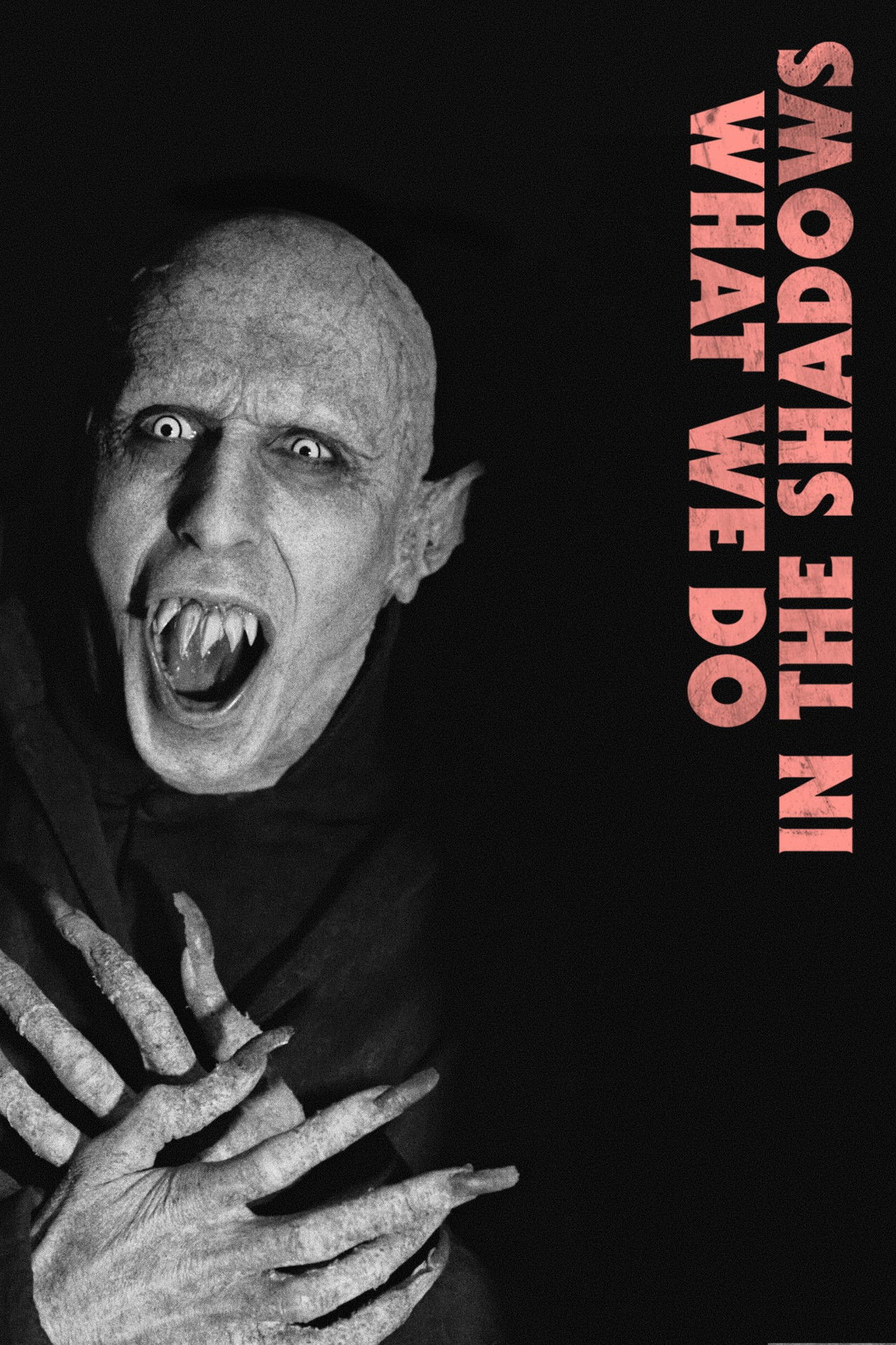 What We Do in the Shadows