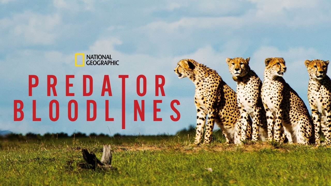 Predator Bloodlines background