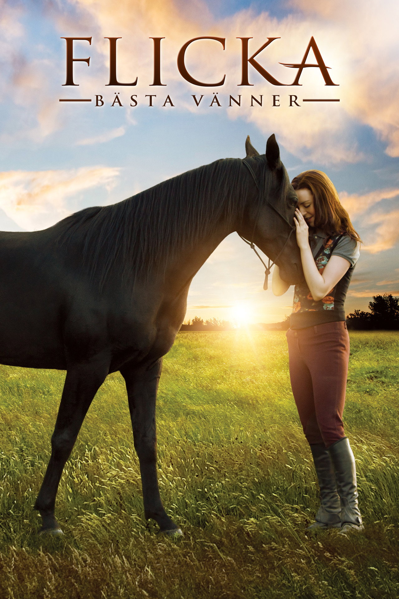 Flicka 3 - Bästa vänner filmaffisch
