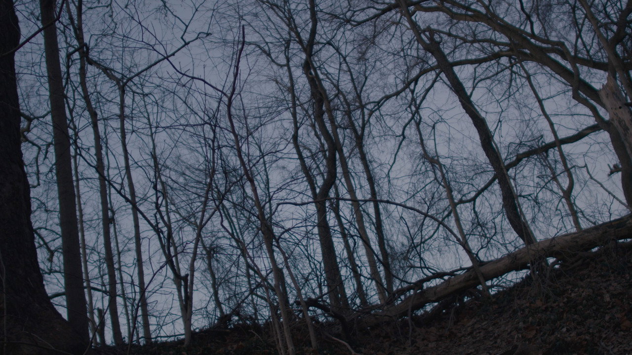 Trailer di The Boy and The Other Immagine di copertina del trailer di The Boy and The Other