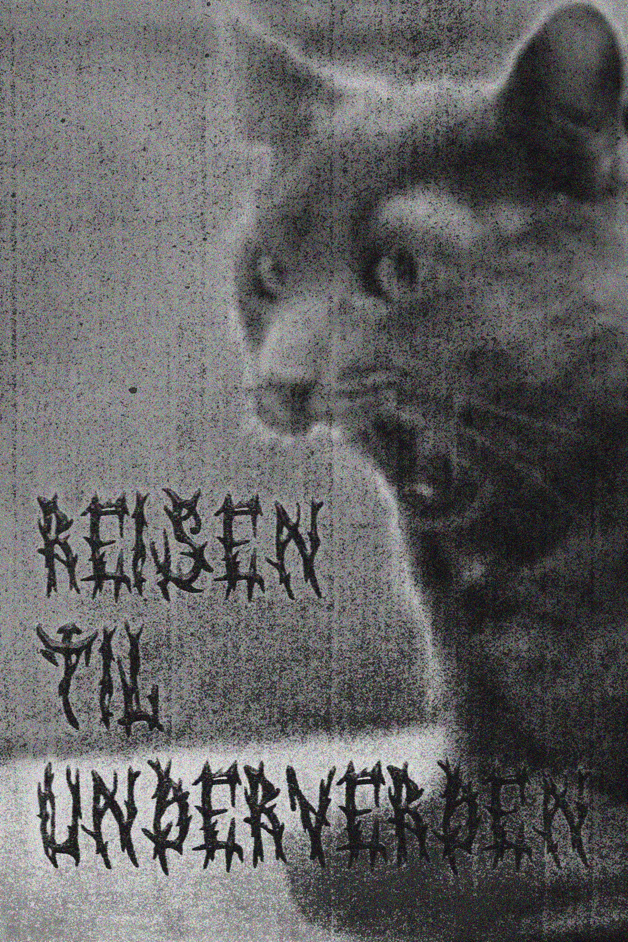 Reisen til Underverden poster