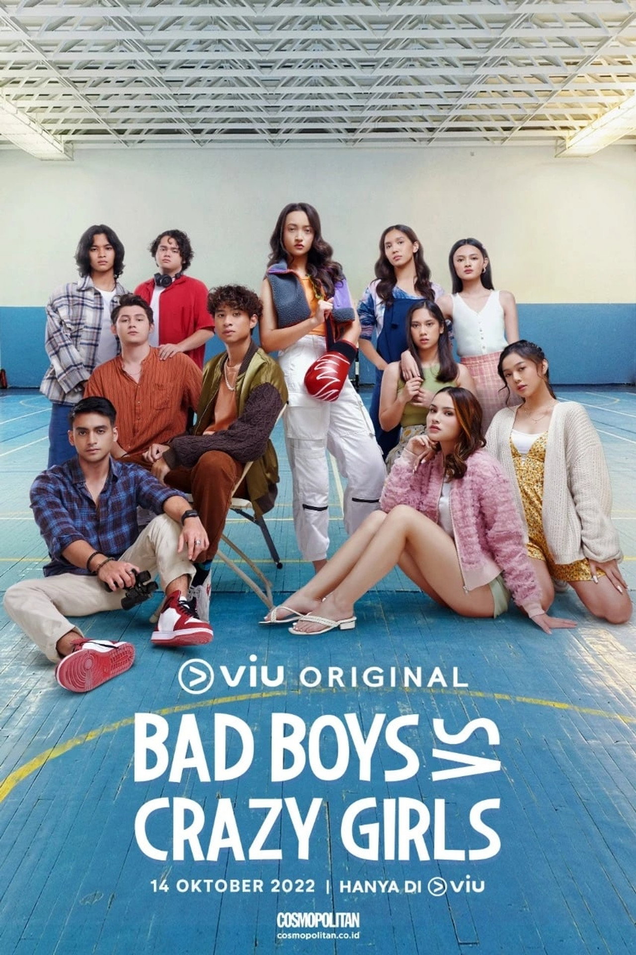 Bad Boys VS Crazy Girls affisch