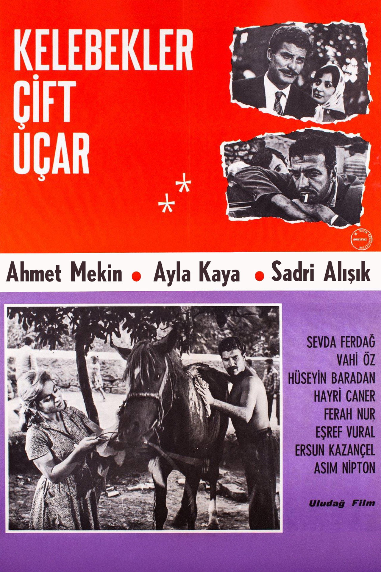 Kelebekler Çift Uçar filmaffisch