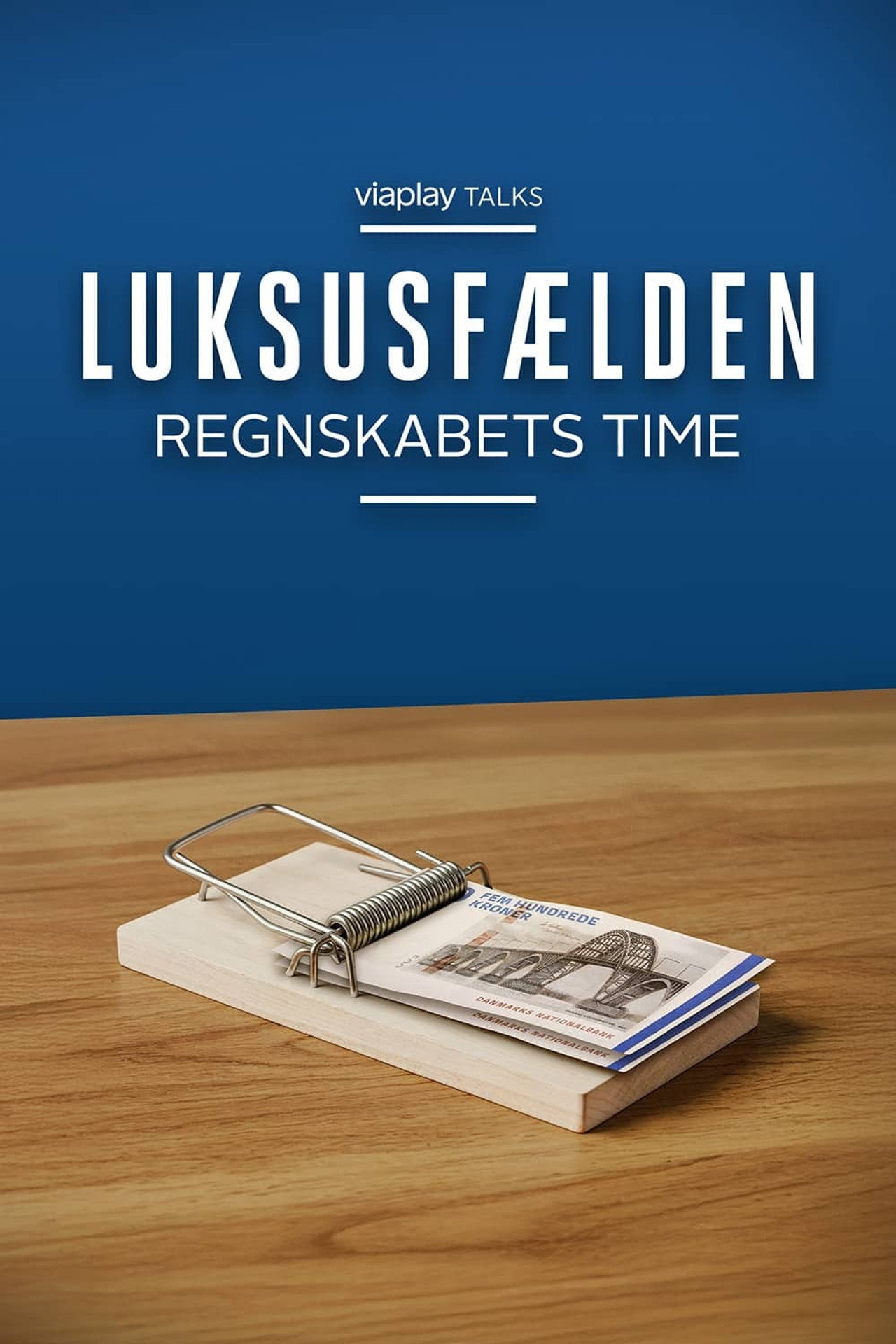 Luksusfælden - regnskabets time affisch