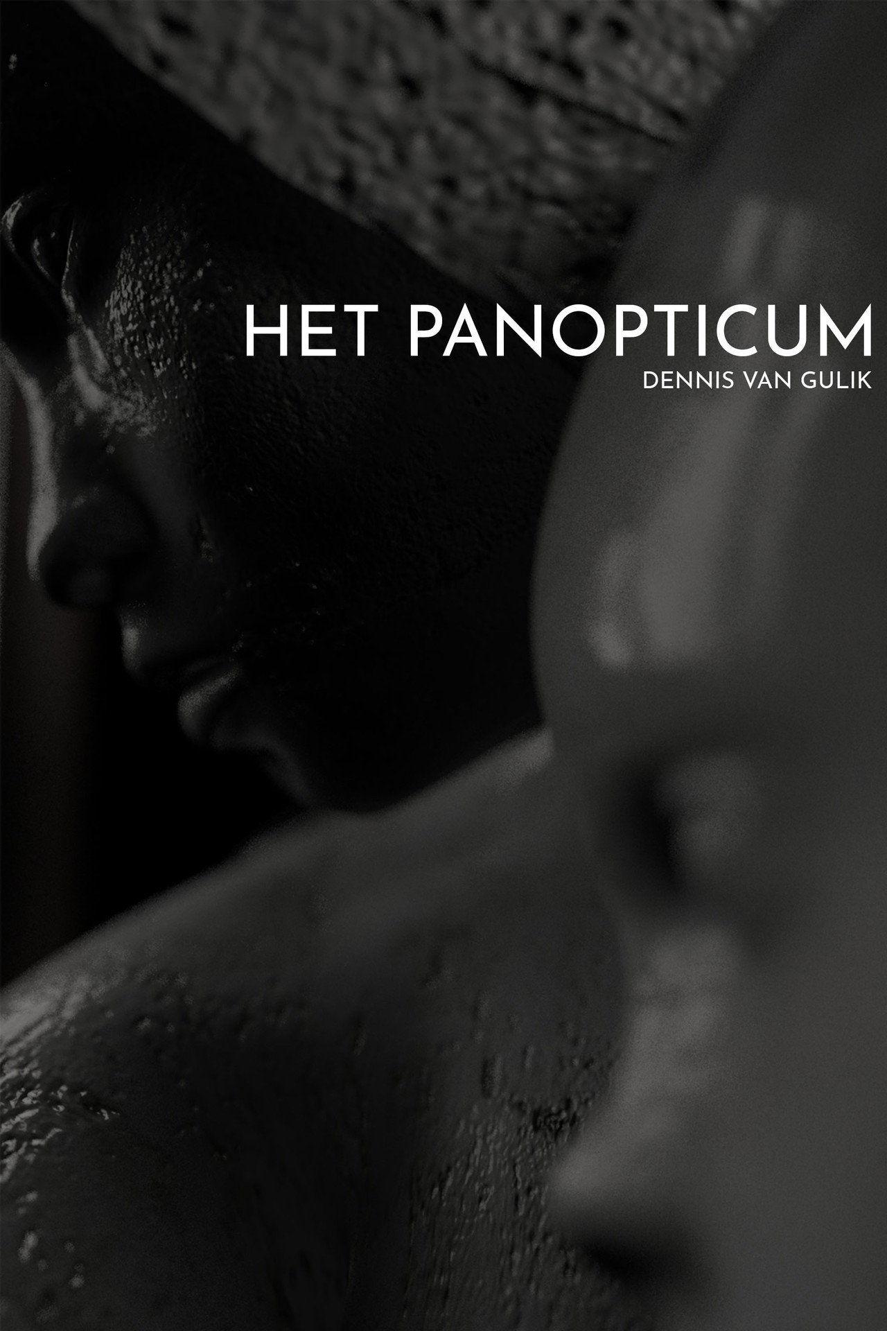 Het Panopticum filmaffisch