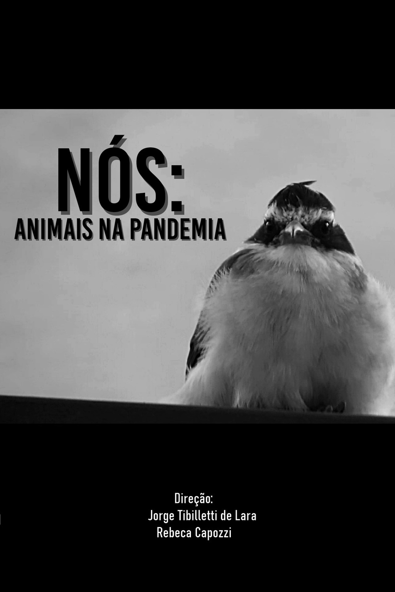 NÓS: ANIMAIS NA PANDEMIA Backdrop