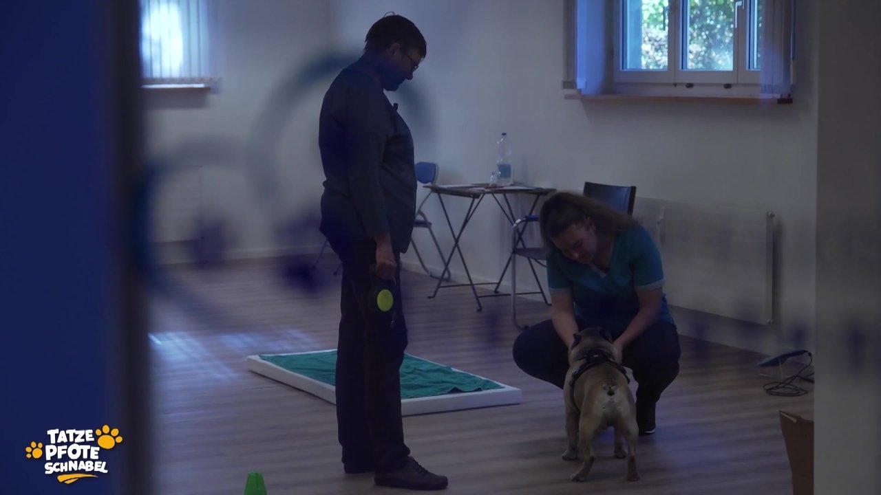 Tatze, Pfote, Schnabel - Season 2 Episode 28 : Episode 28