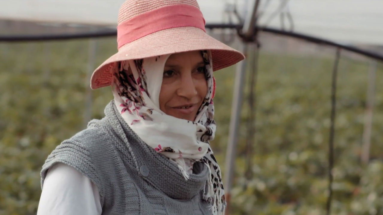 Salvados - Season 14 Episode 15 : Episode 15