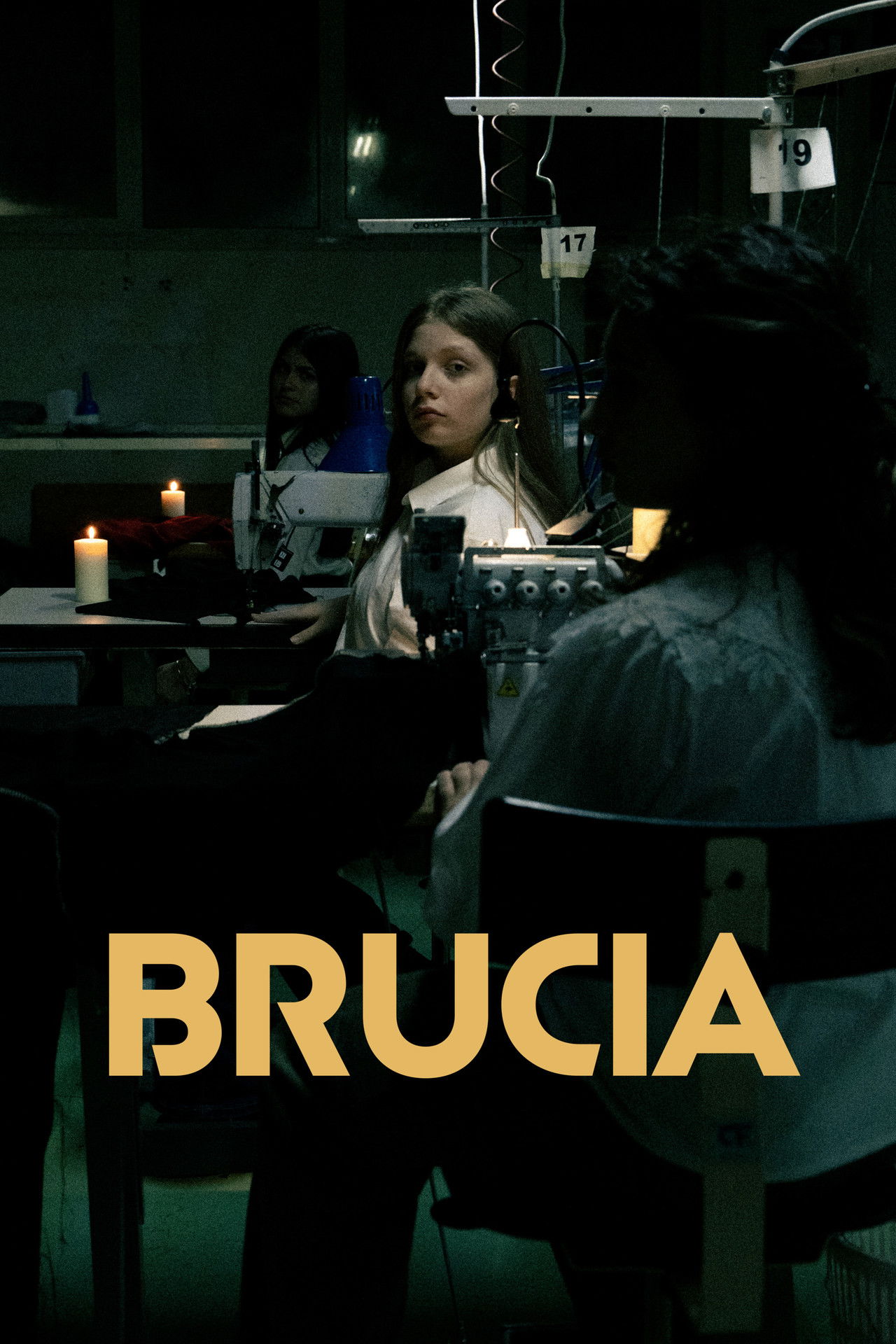 Brucia