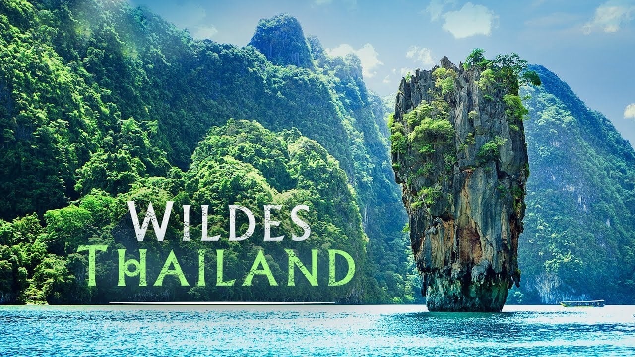 Wildes Thailand background