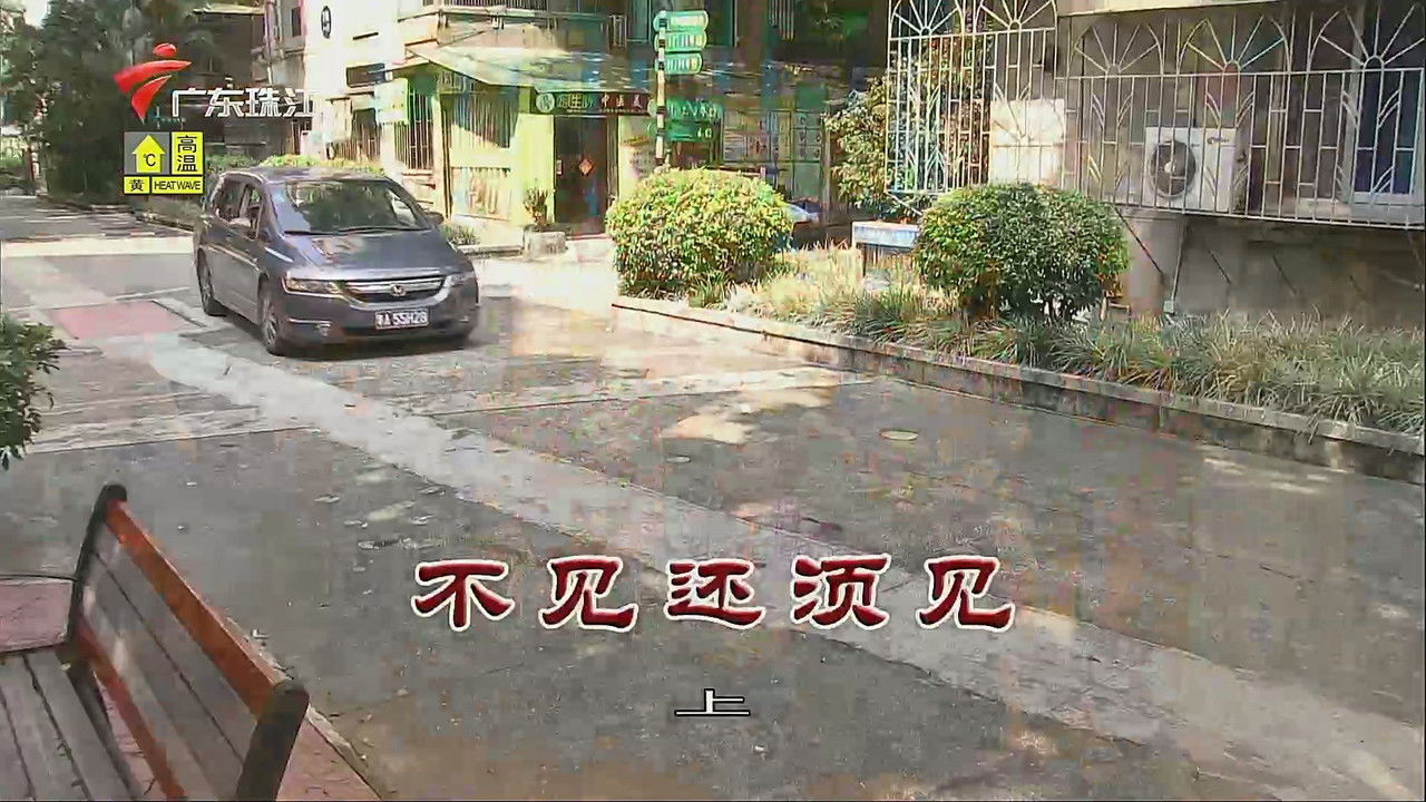 外来媳妇本地郎 — Épisode 3497