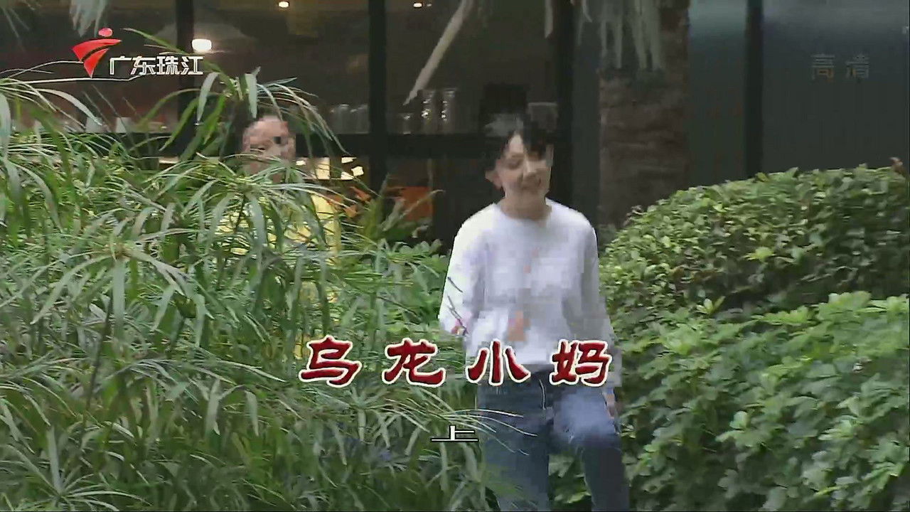 外来媳妇本地郎 — Épisode 3523