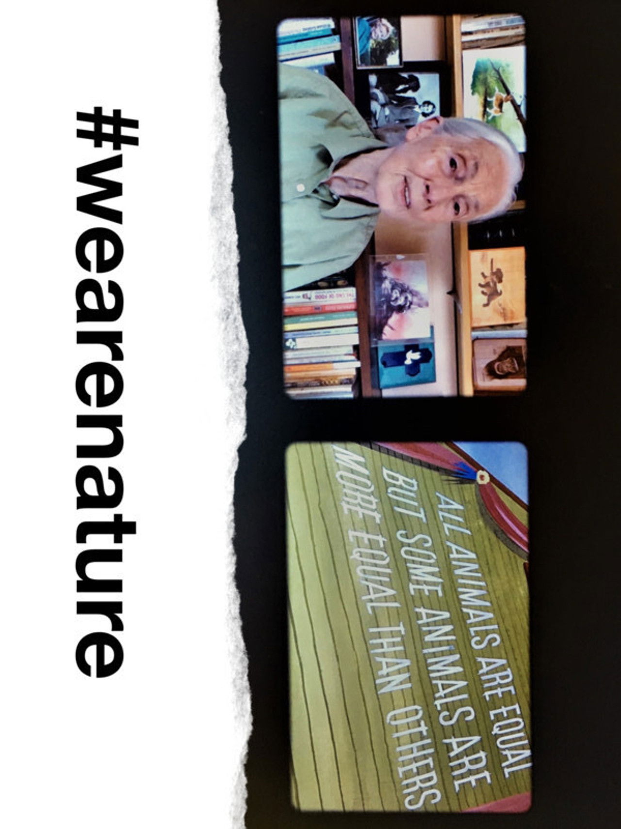 We Are Nature Backdrop