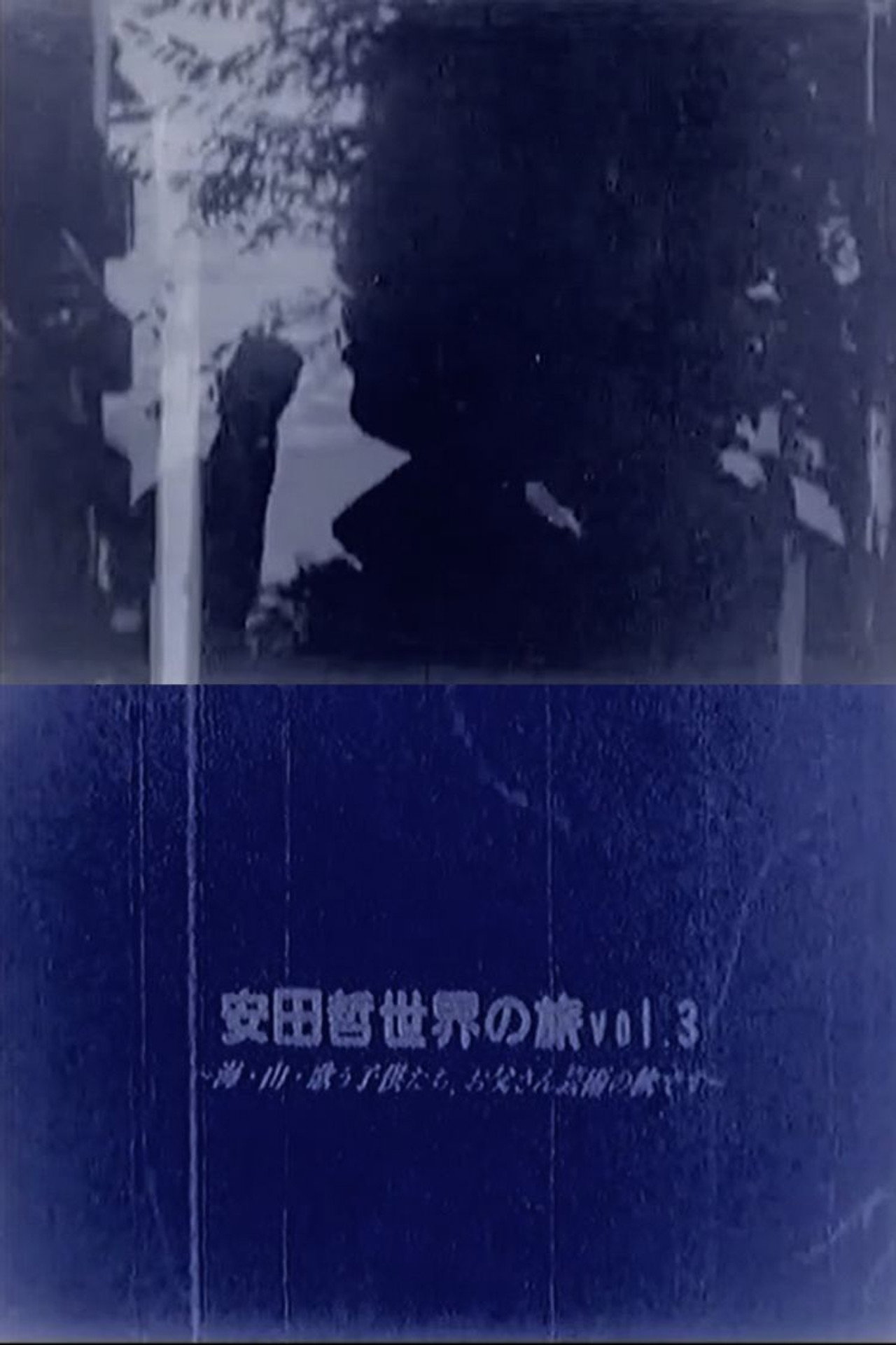 Yasuda Satoru World Trip vol.3 Backdrop