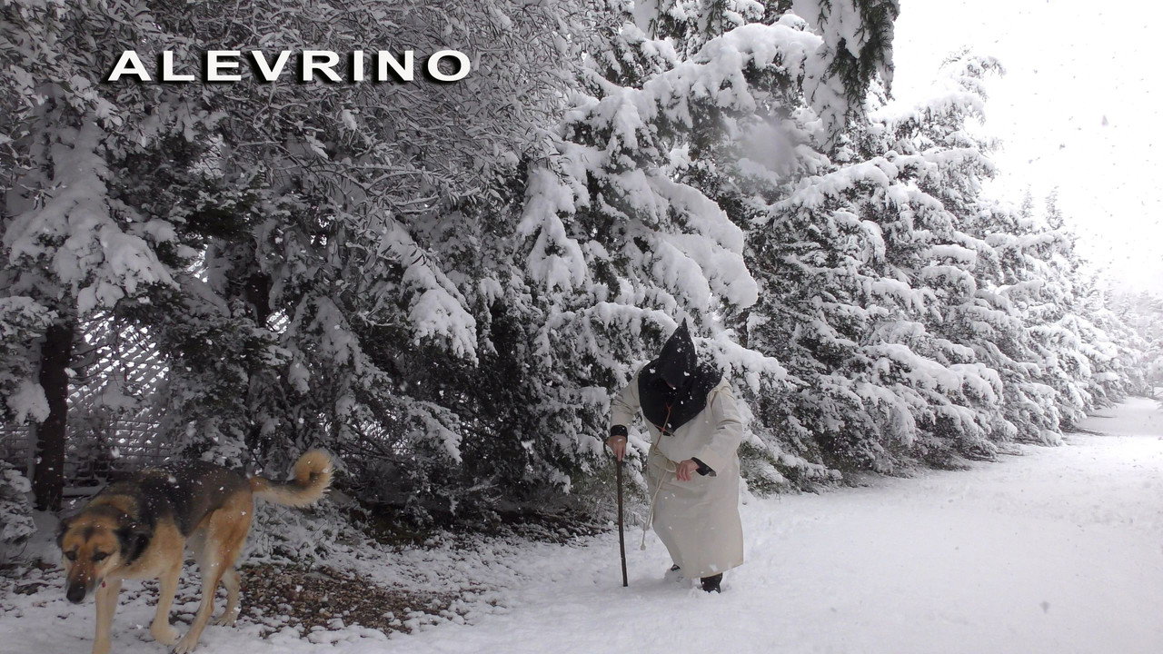 ALEVRINO “The Seed of Everything” still 7