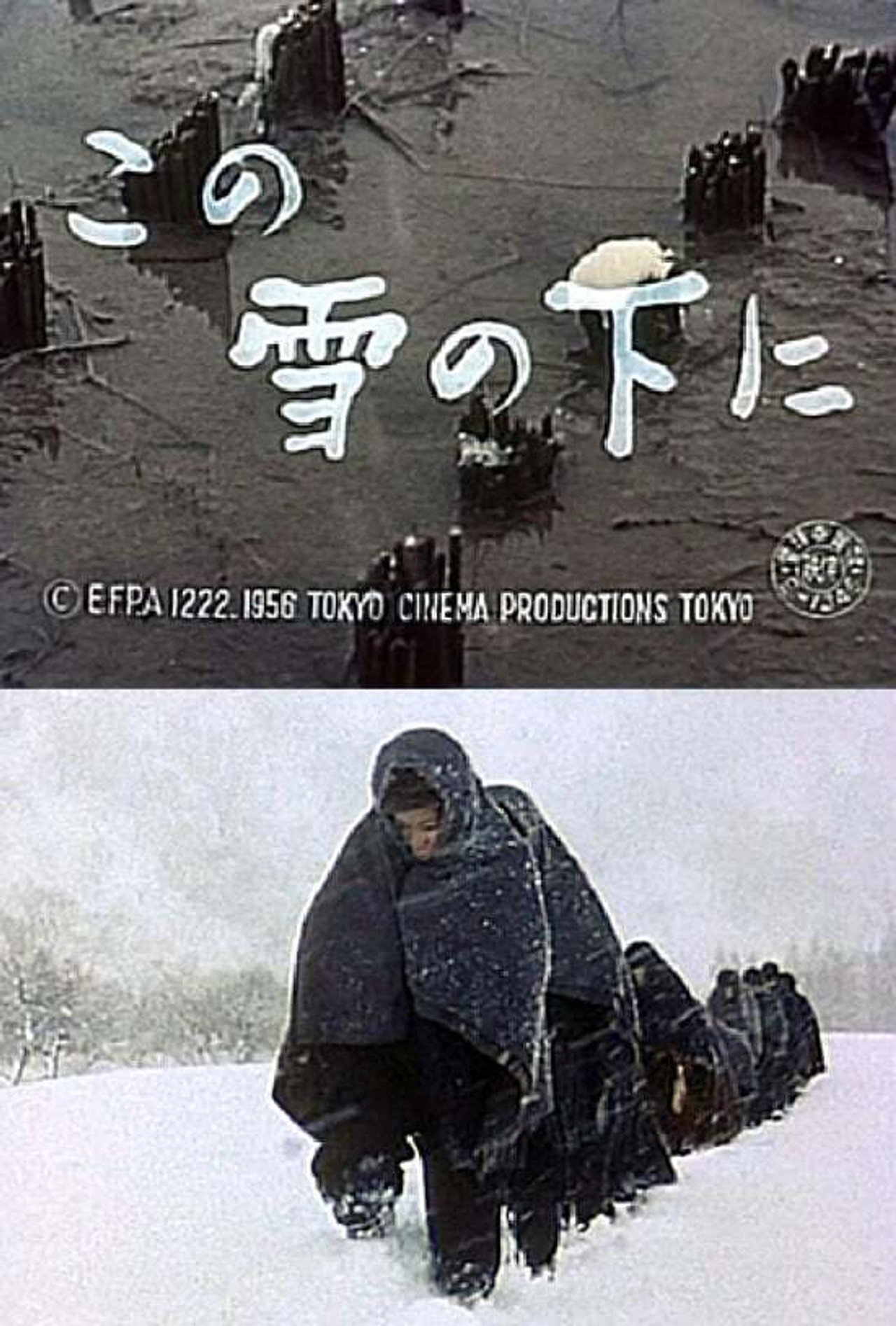 この雪の下に filmaffisch