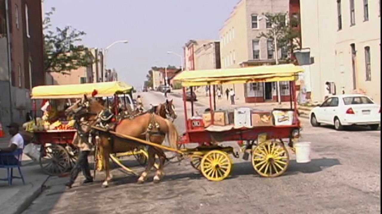 Ne jemi Arabberë backdrop