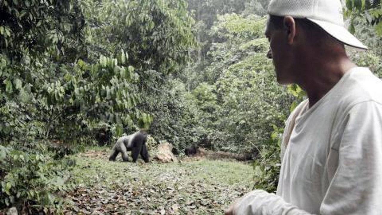 Wild Frank — Épisode 1