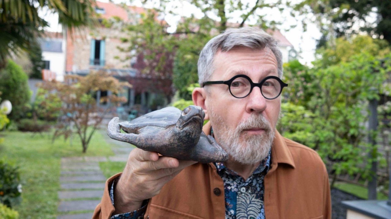 C Jamy — Tortues : des reptiles pas comme les autres