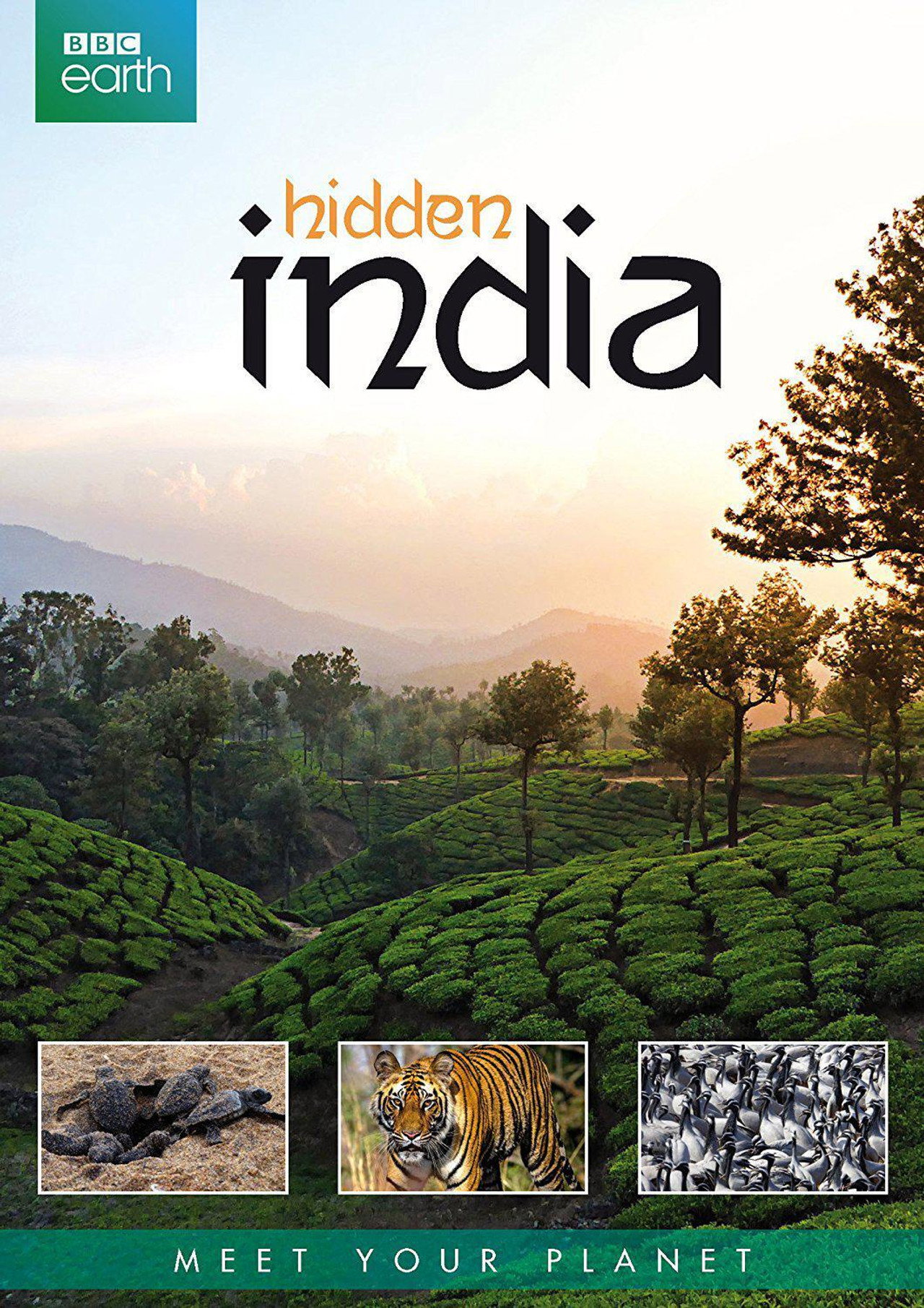 Rejtett India – plakát 5