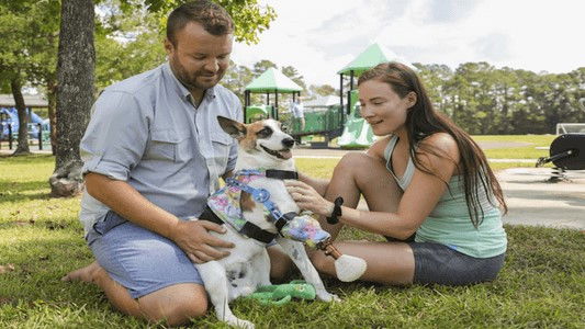 The Wizard of Paws - Season 3 Episode 10 : Indy