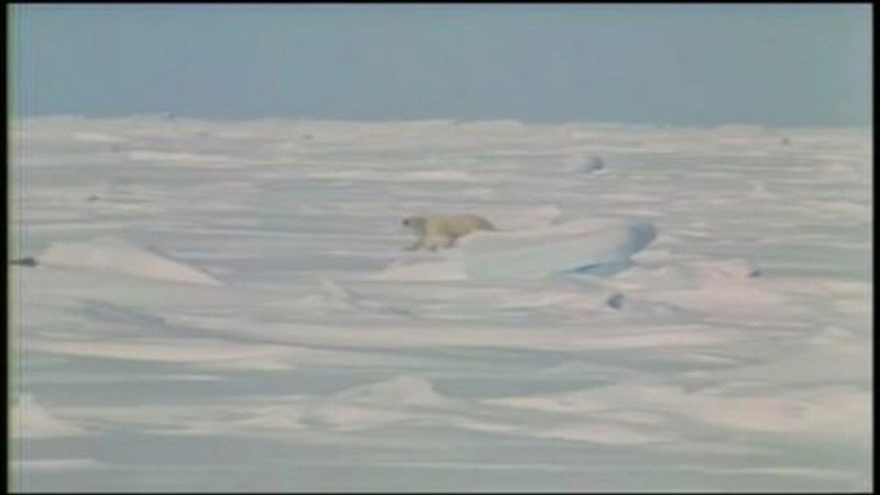 Mutual of Omaha's Wild Kingdom — Épisode 1