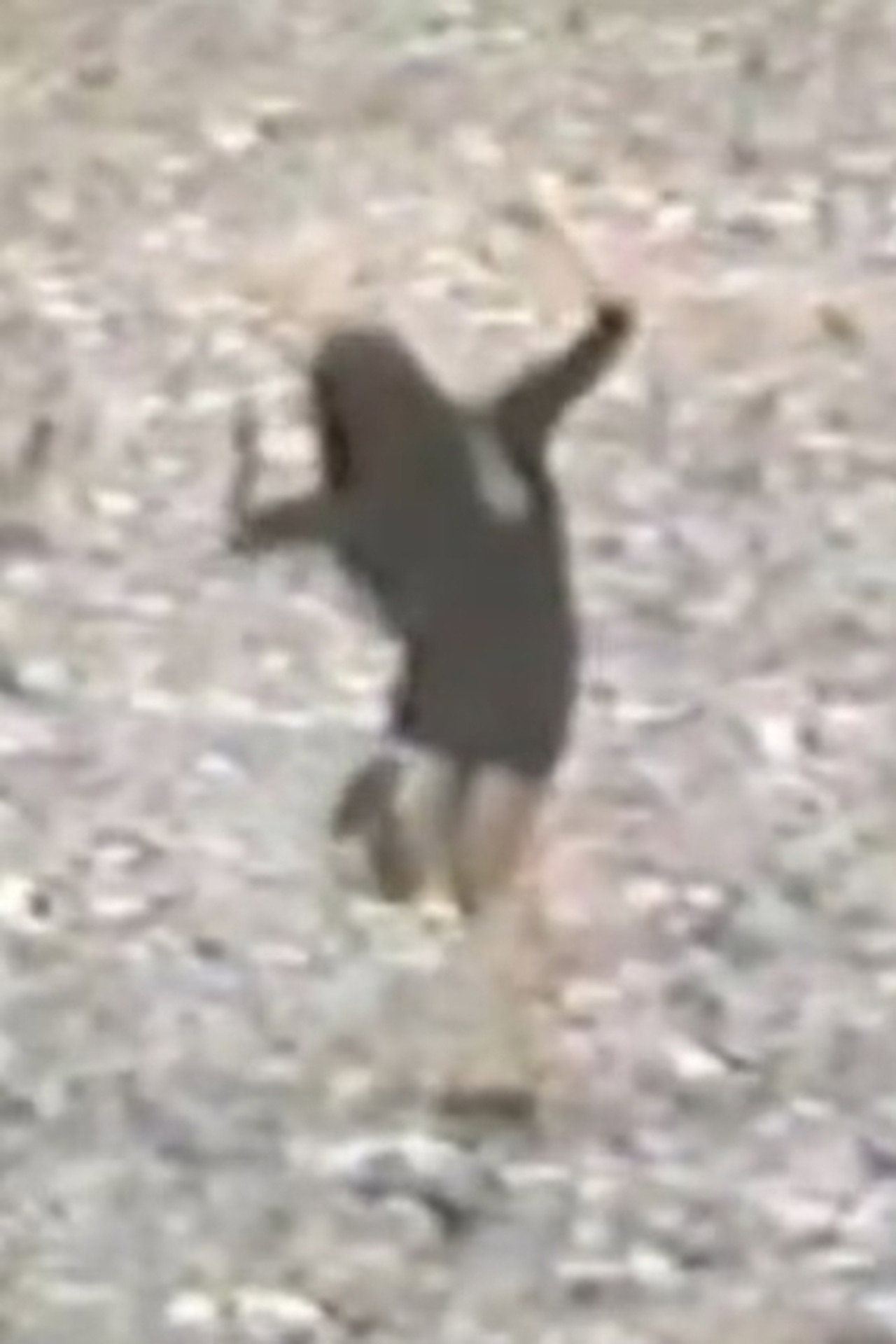 Plutonium Dancer