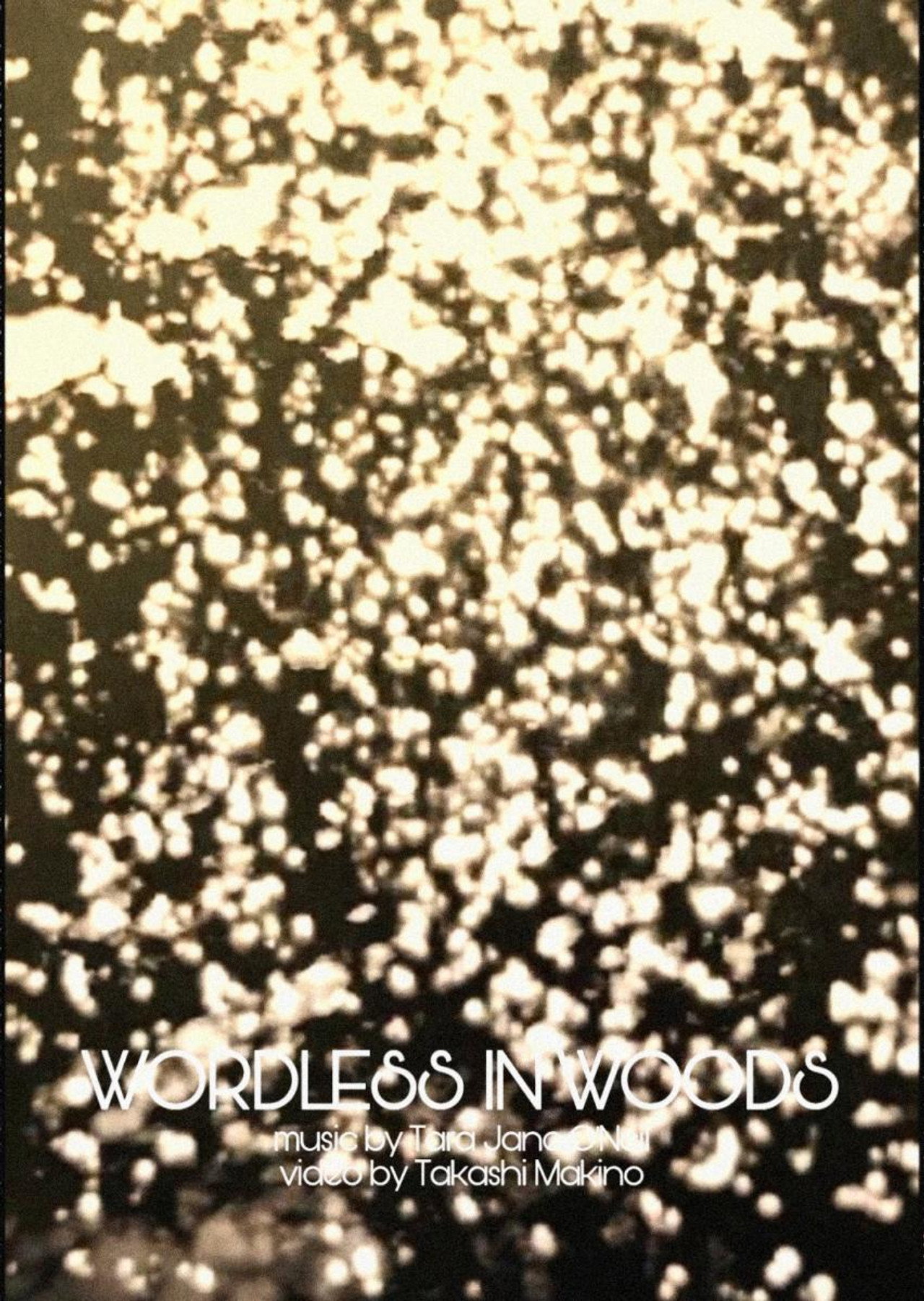 Wordless in Woods