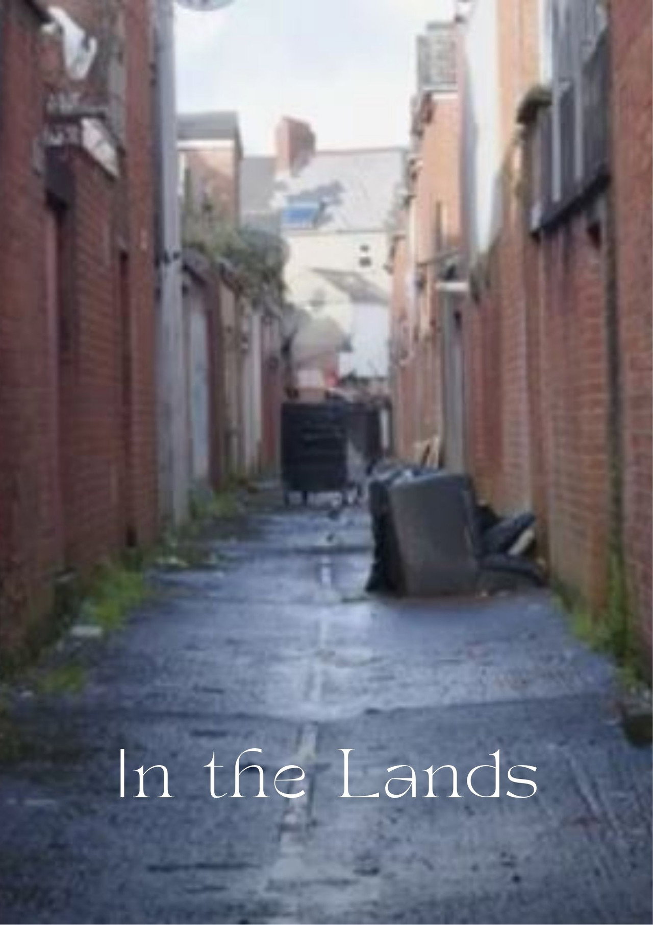 In the Lands
