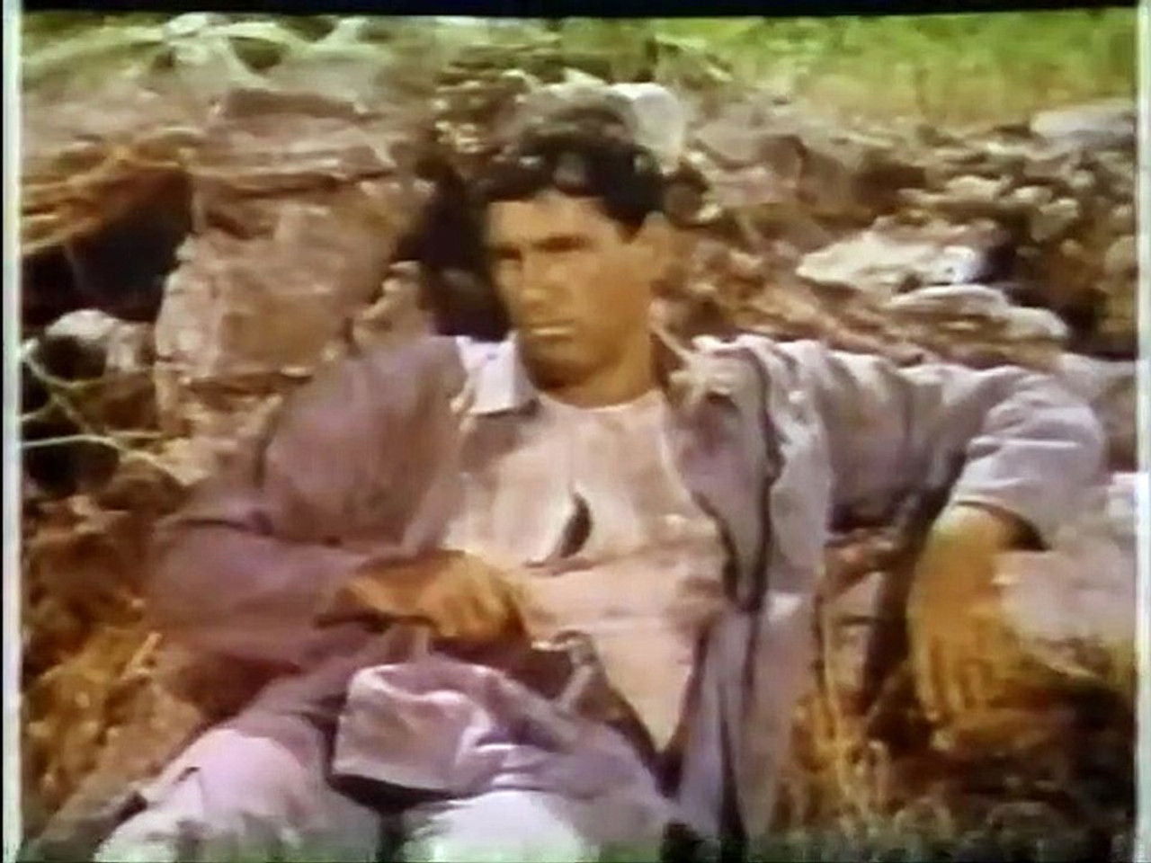 Mon amie Flicka — L'Étranger