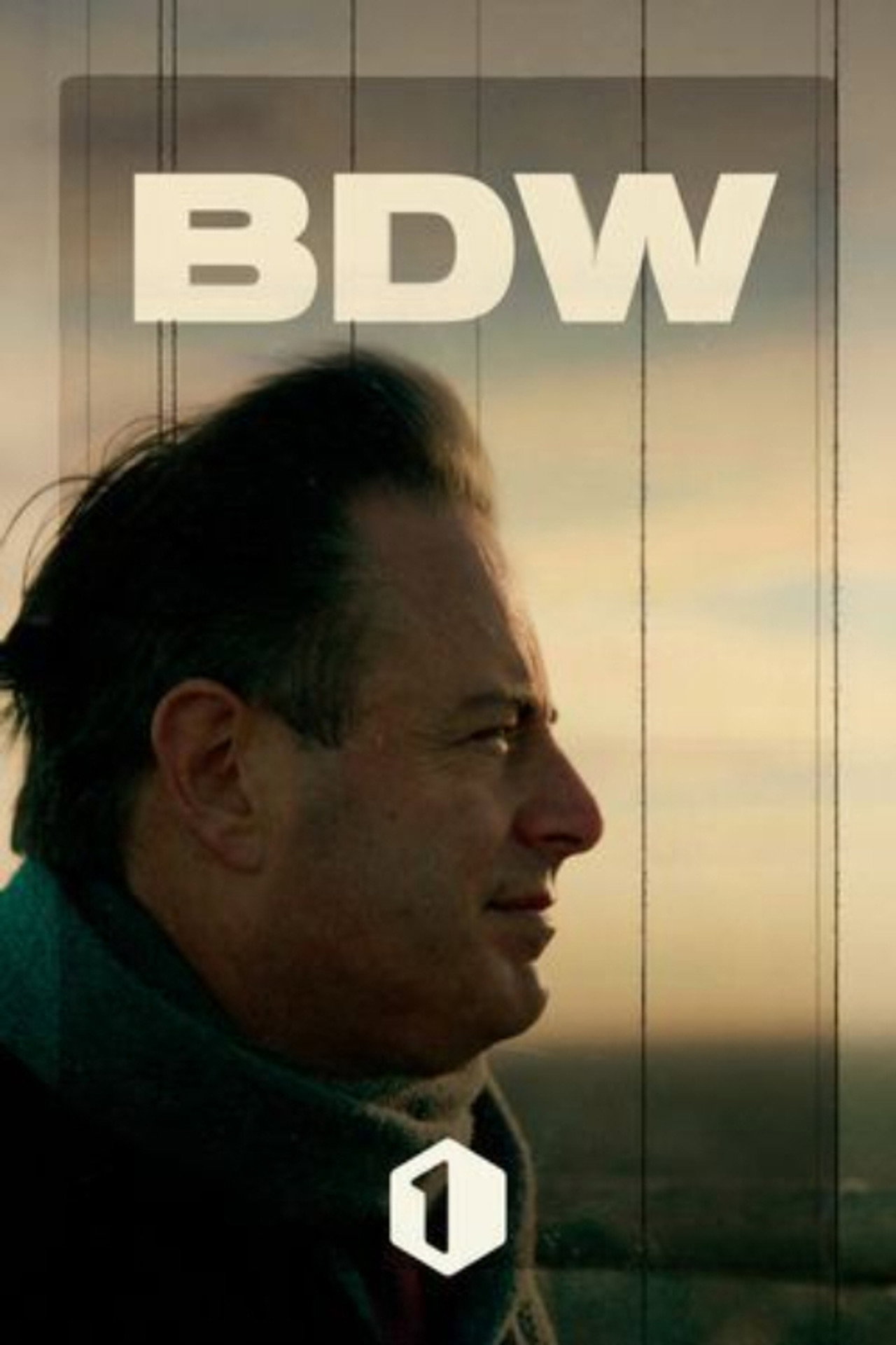 BDW affisch