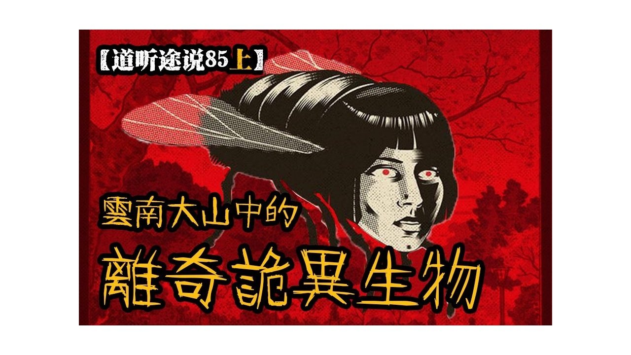 道听途说 - Season 1 Episode 118 : Episode 118