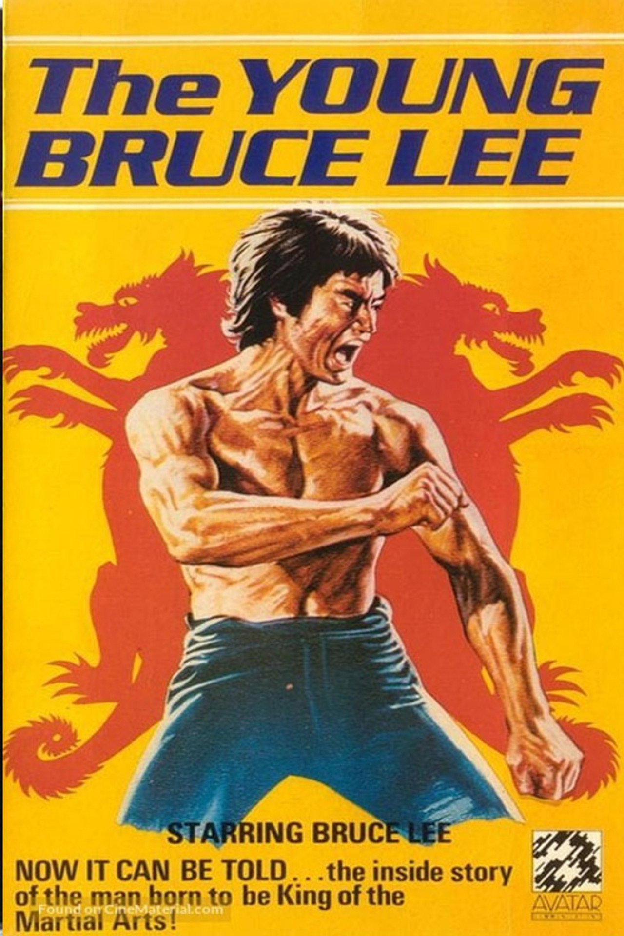 The Young Bruce Lee Backdrop