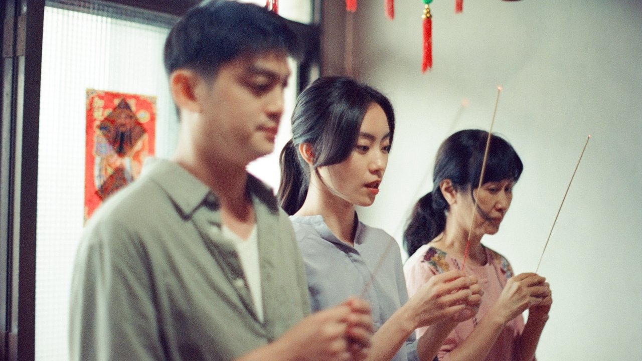 母雞 母雞