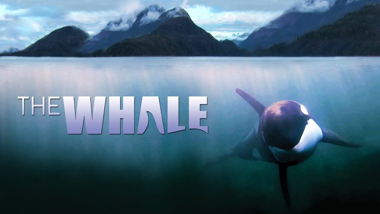The Whale background